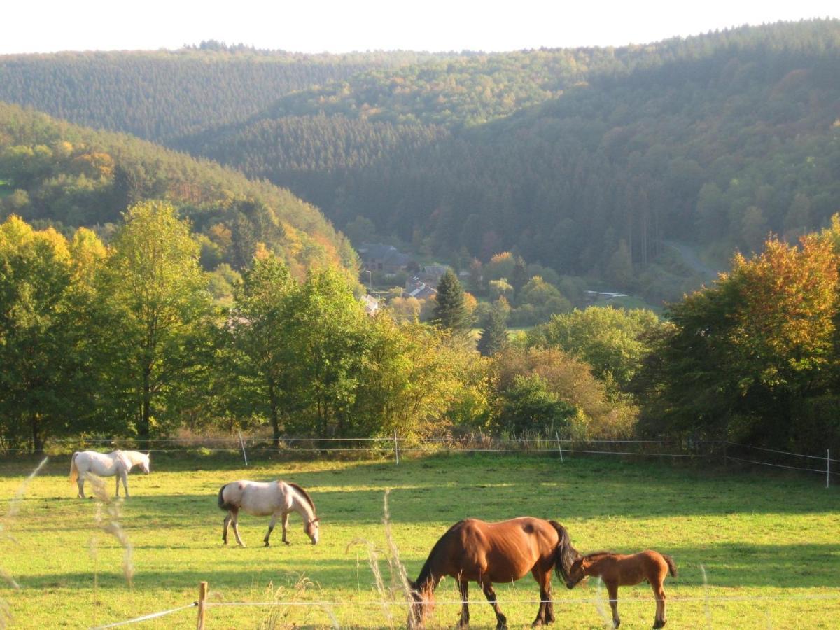 Pretty Cottage Ardennes Near The Valley Of Lesse Vencimont Eksteriør bilde