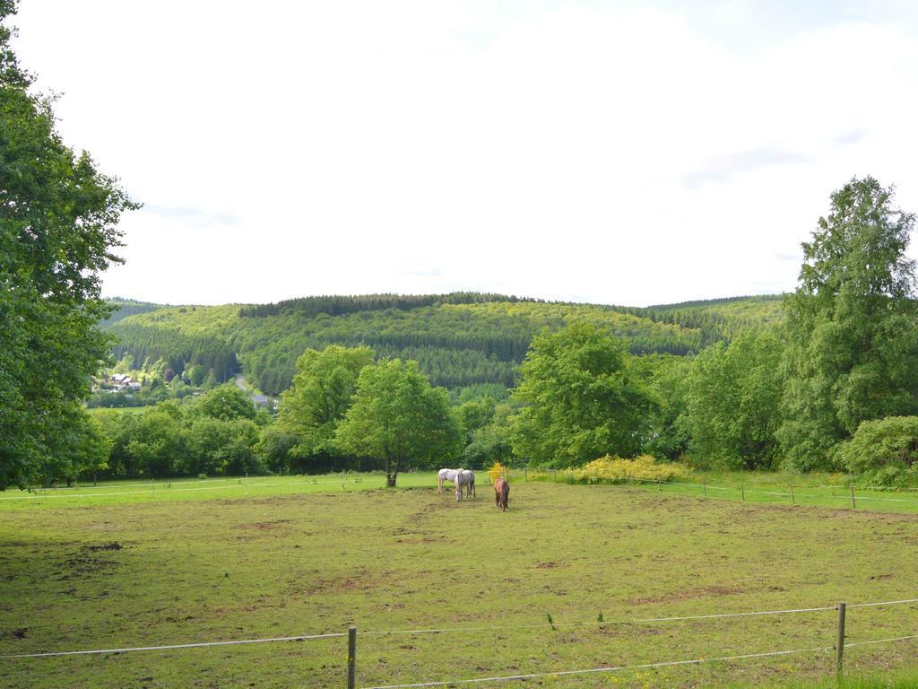 Pretty Cottage Ardennes Near The Valley Of Lesse Vencimont Eksteriør bilde